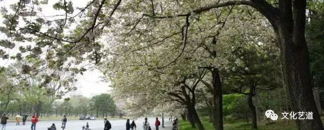 图片62.png 图片62.png