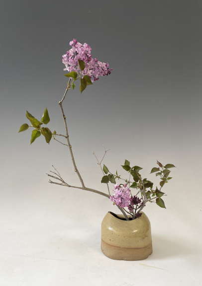 插花3.png 插花3.png